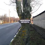 Poli 게스트하우스 Levski (Varna)