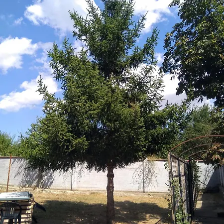 Poli * Levski (Varna)