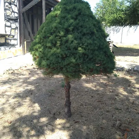 게스트하우스 Poli