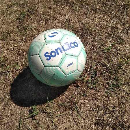 게스트하우스 Poli Levski (Varna)