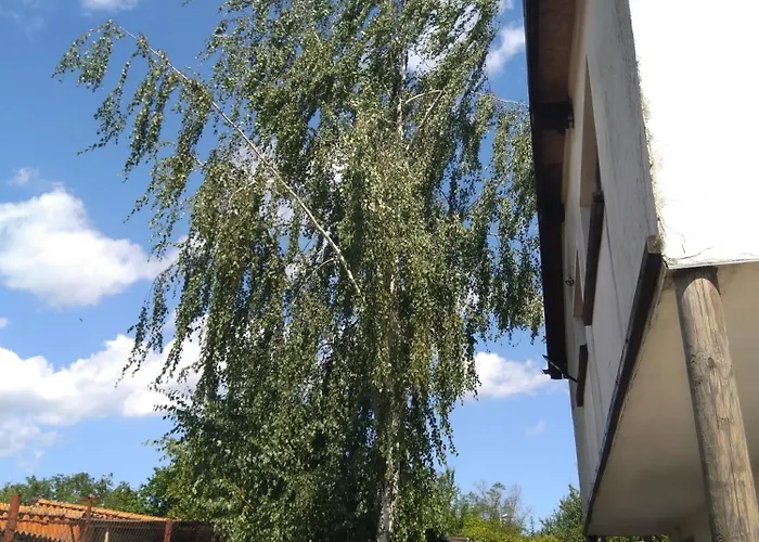 Poli * Levski (Varna)